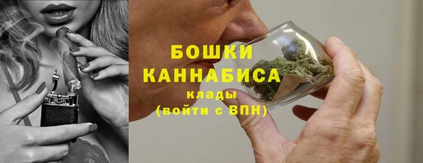 молекула духа Липки