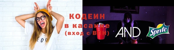 молекула духа Липки