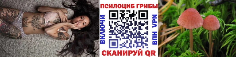 Галлюциногенные грибы мицелий  Нижний Тагил 